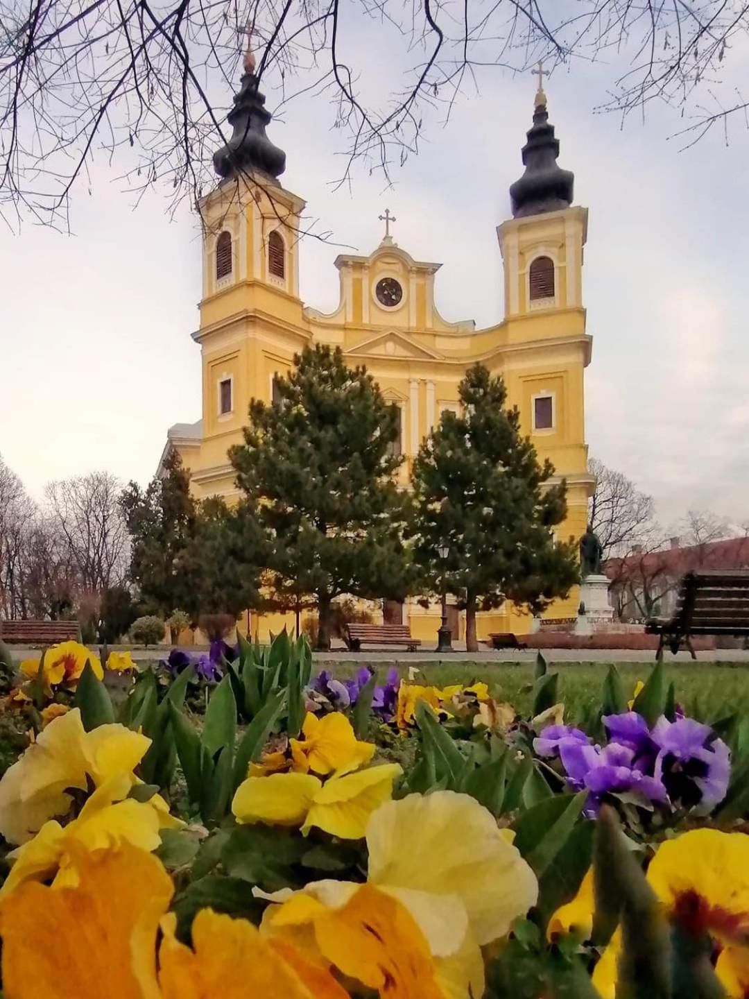 Apartamento Alia Oradea Exterior foto